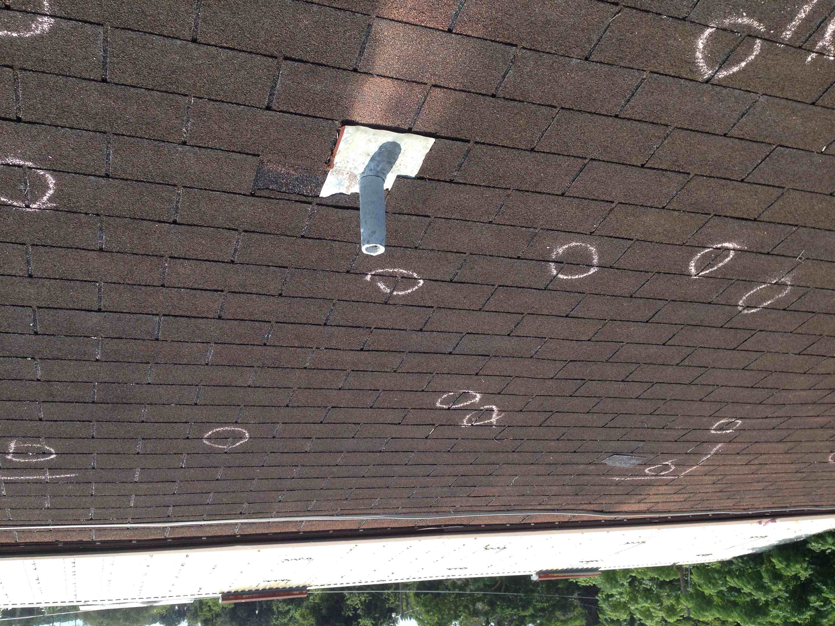 Avatar for Premiere Roofing & Carpentry Inc