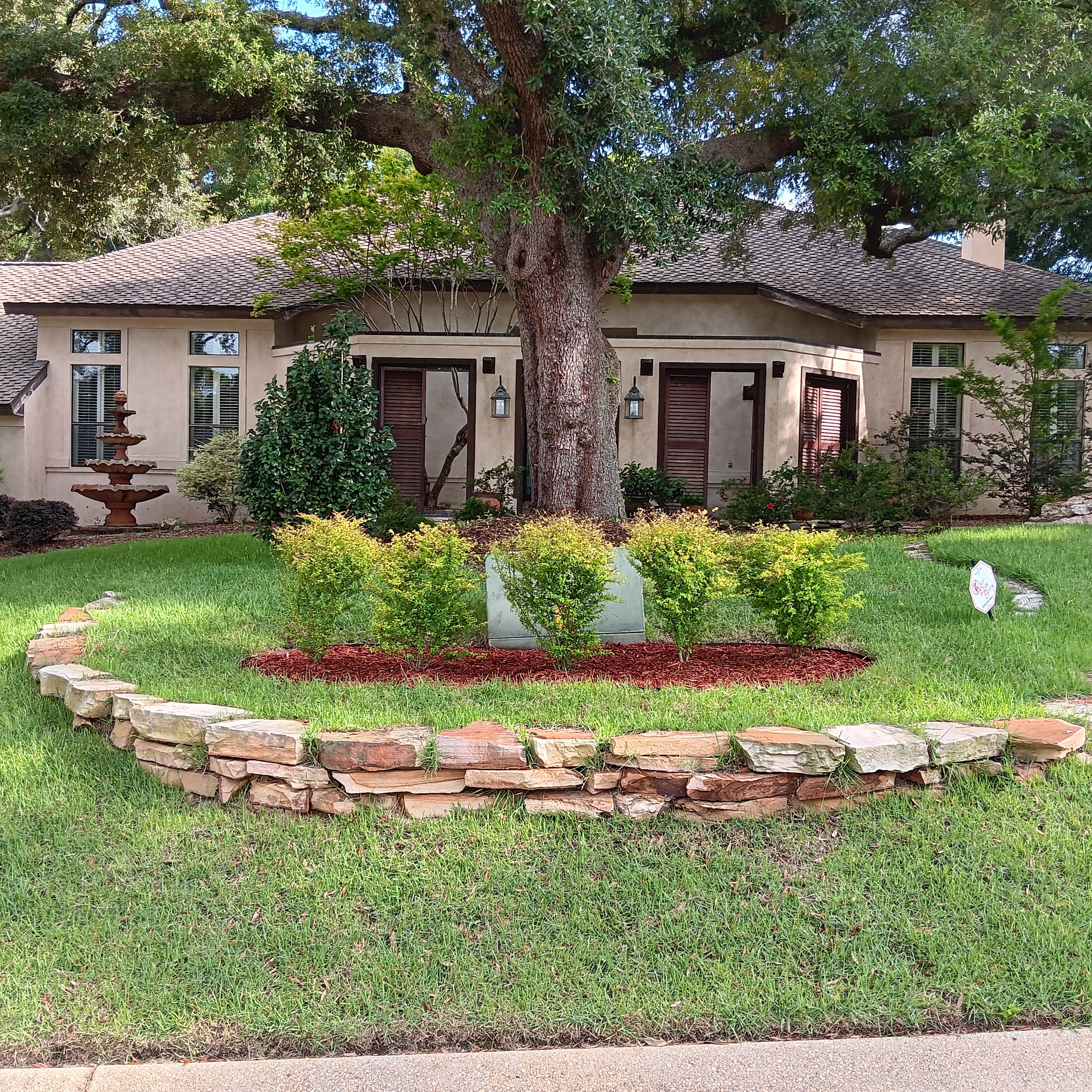 Avatar for Total Yard Care Plus