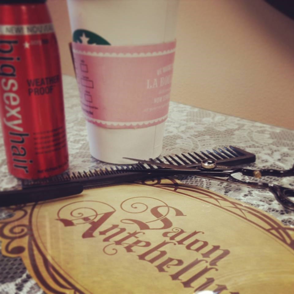 Logo for Salon Antebellum