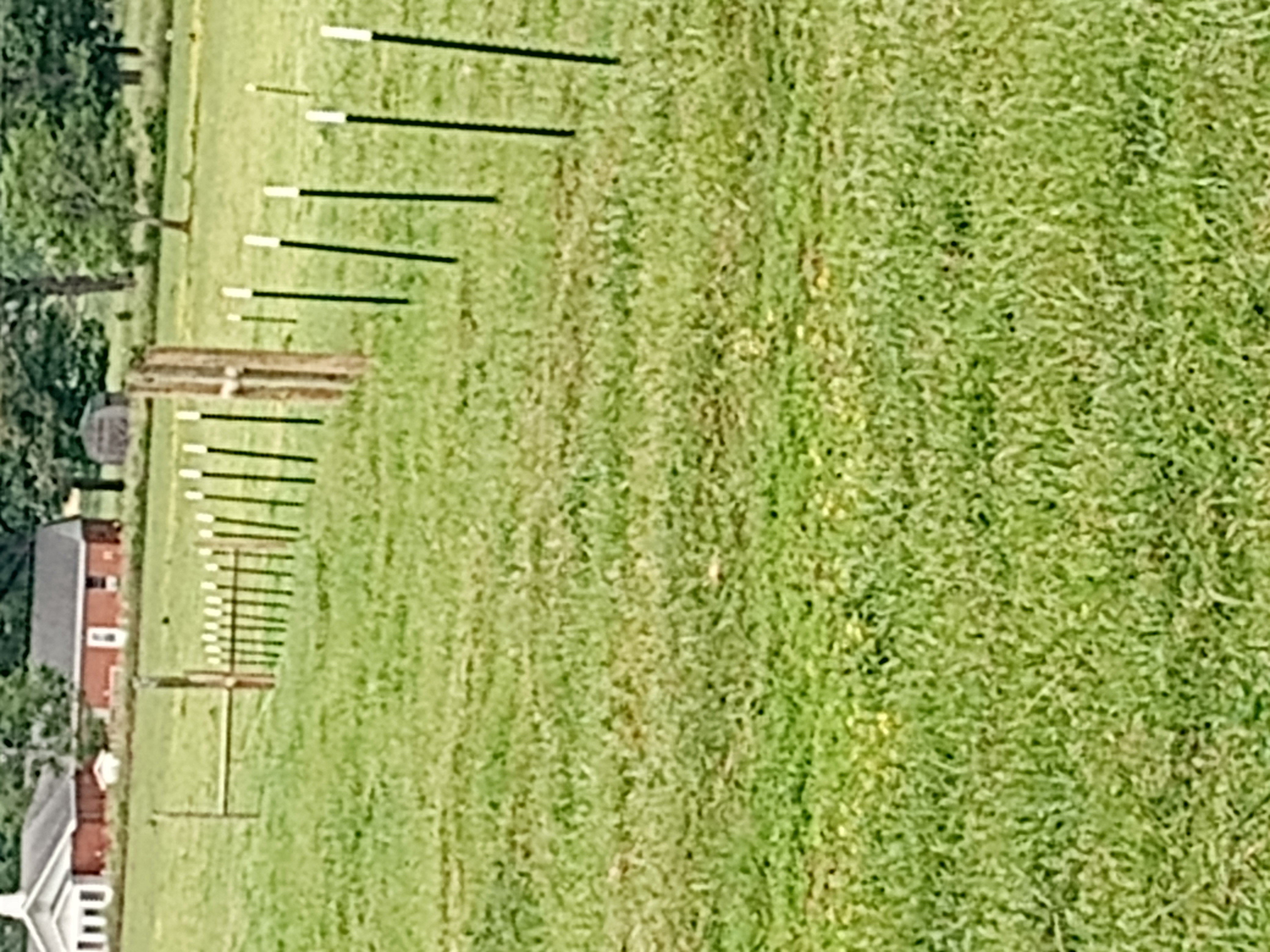 Avatar for Handy hands