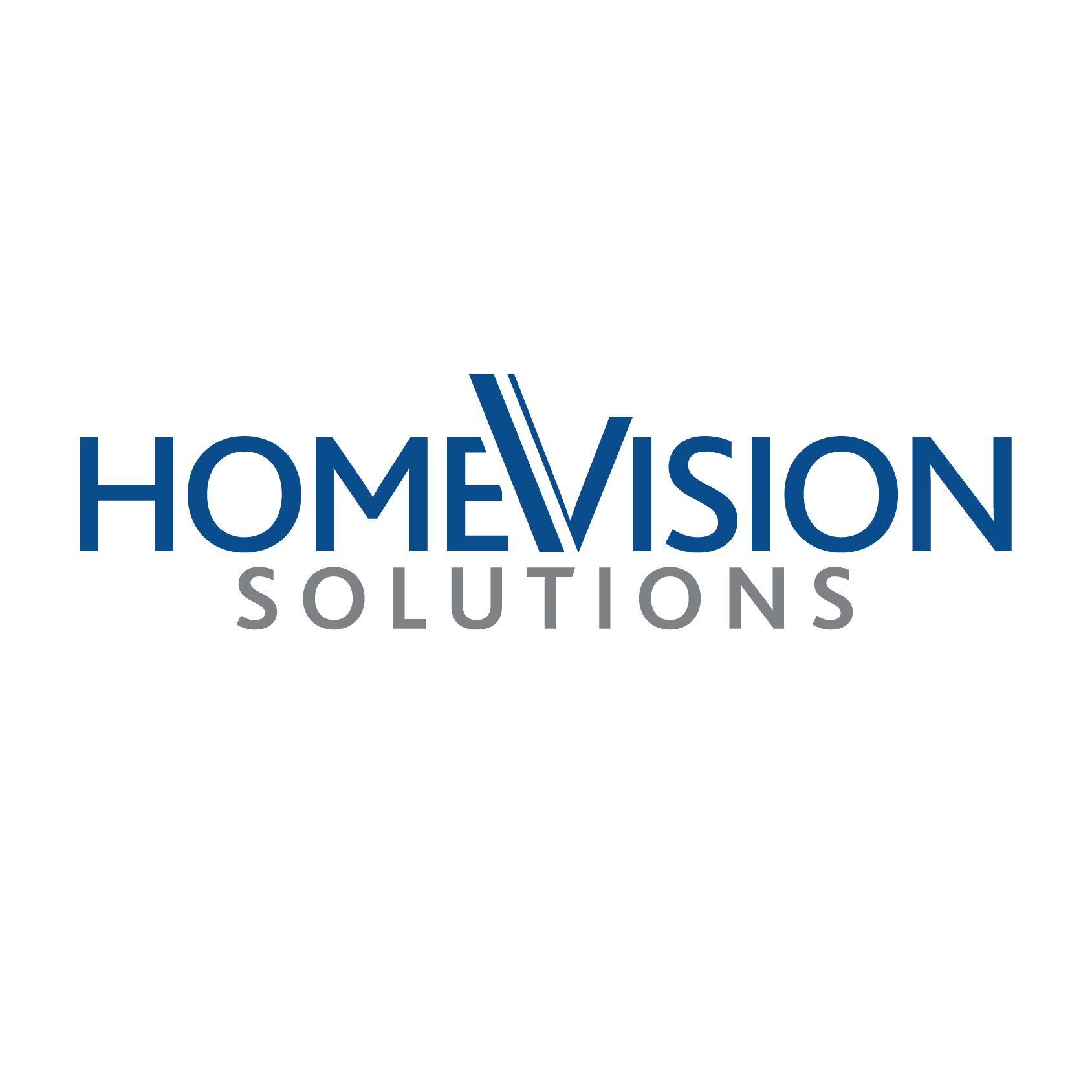 HOME VISION SOLUTIONS logo