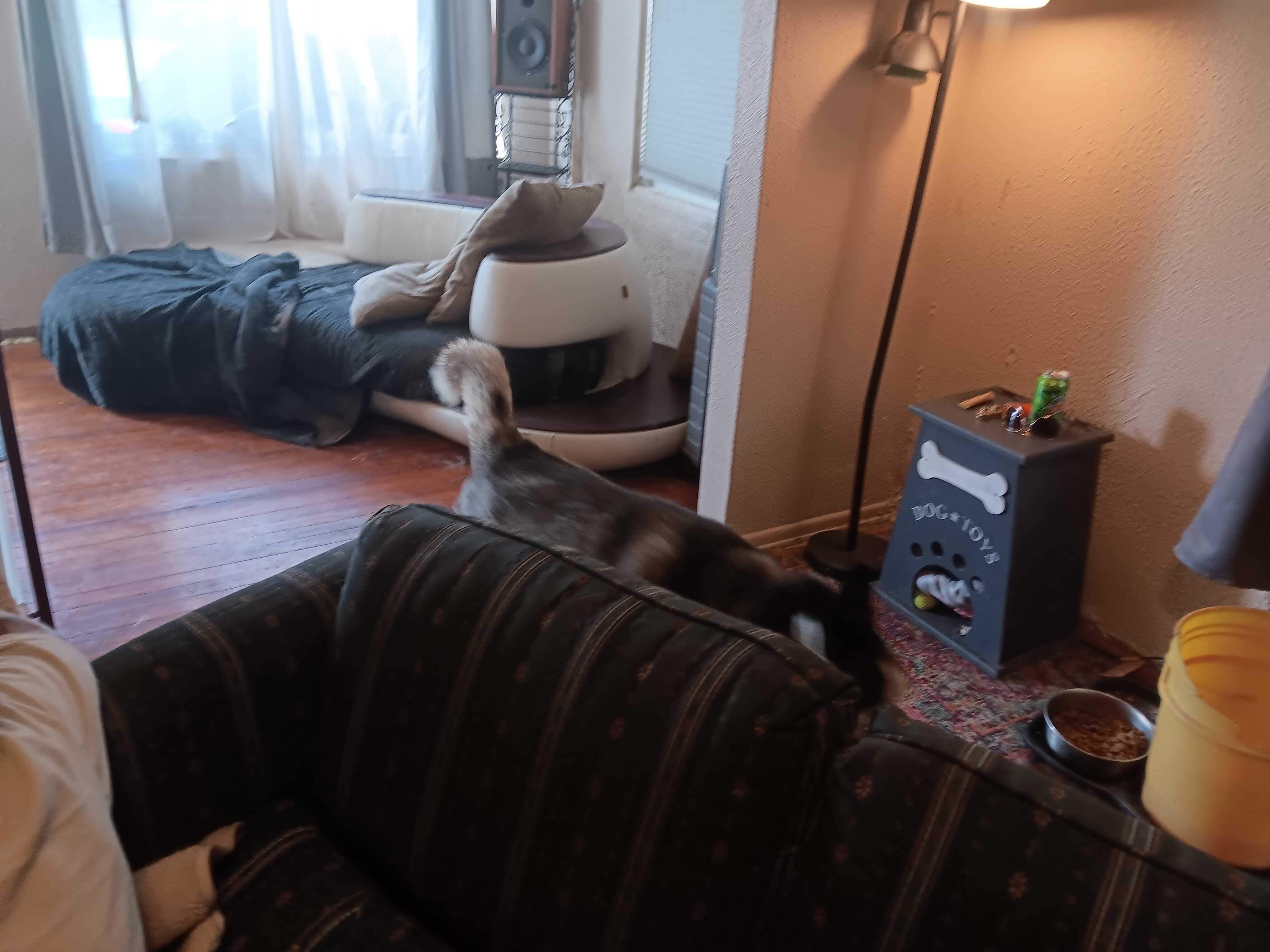 Avatar for Maintenance Pro