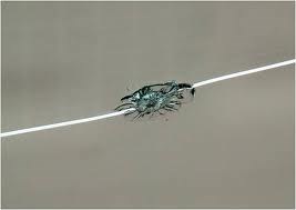 Logo for Jody's Windshield Repair