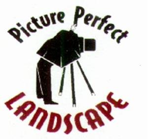 Avatar for Picture Perfect Landscape - Christmas Decor