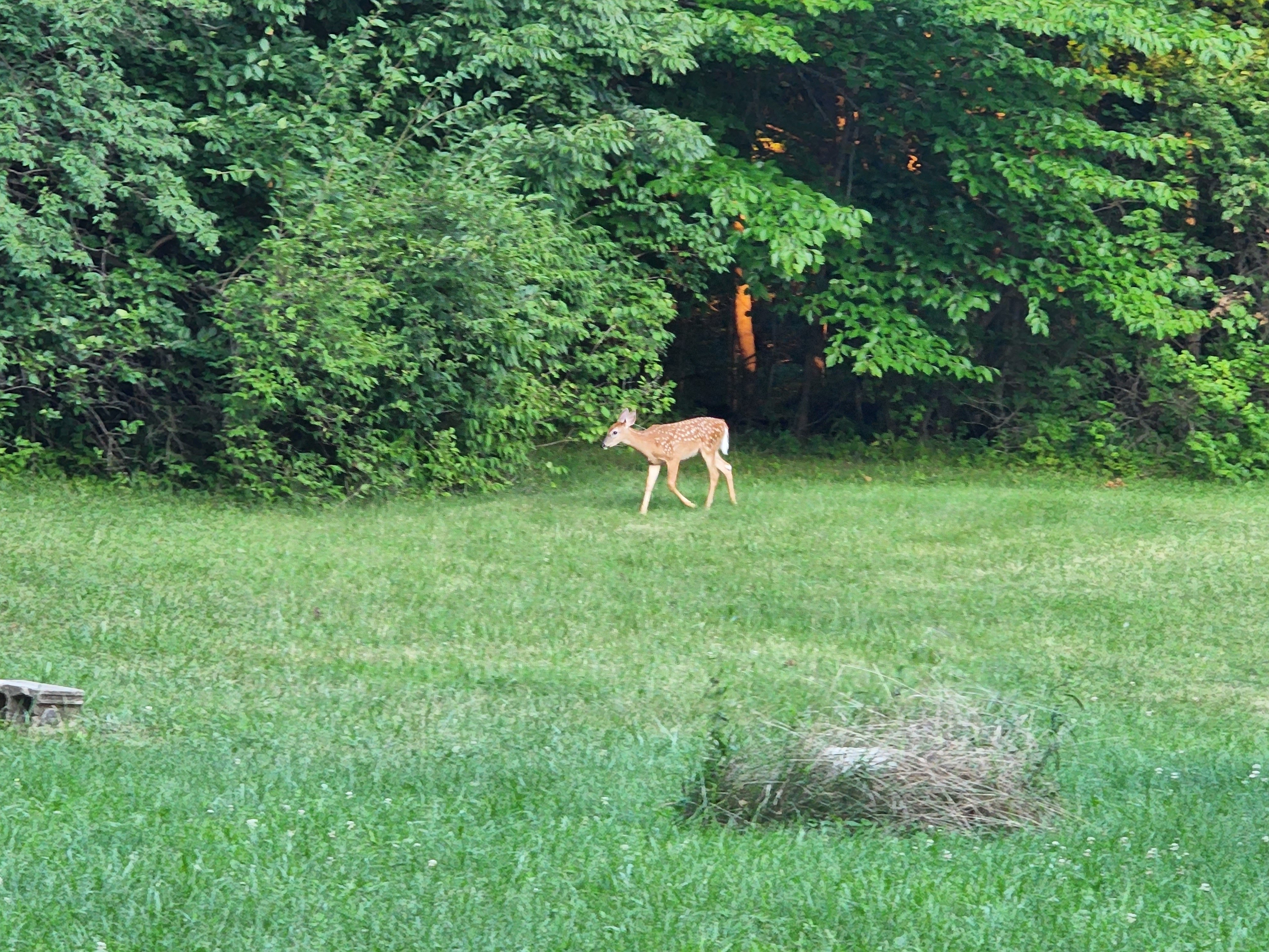 Avatar for Km specialties inc