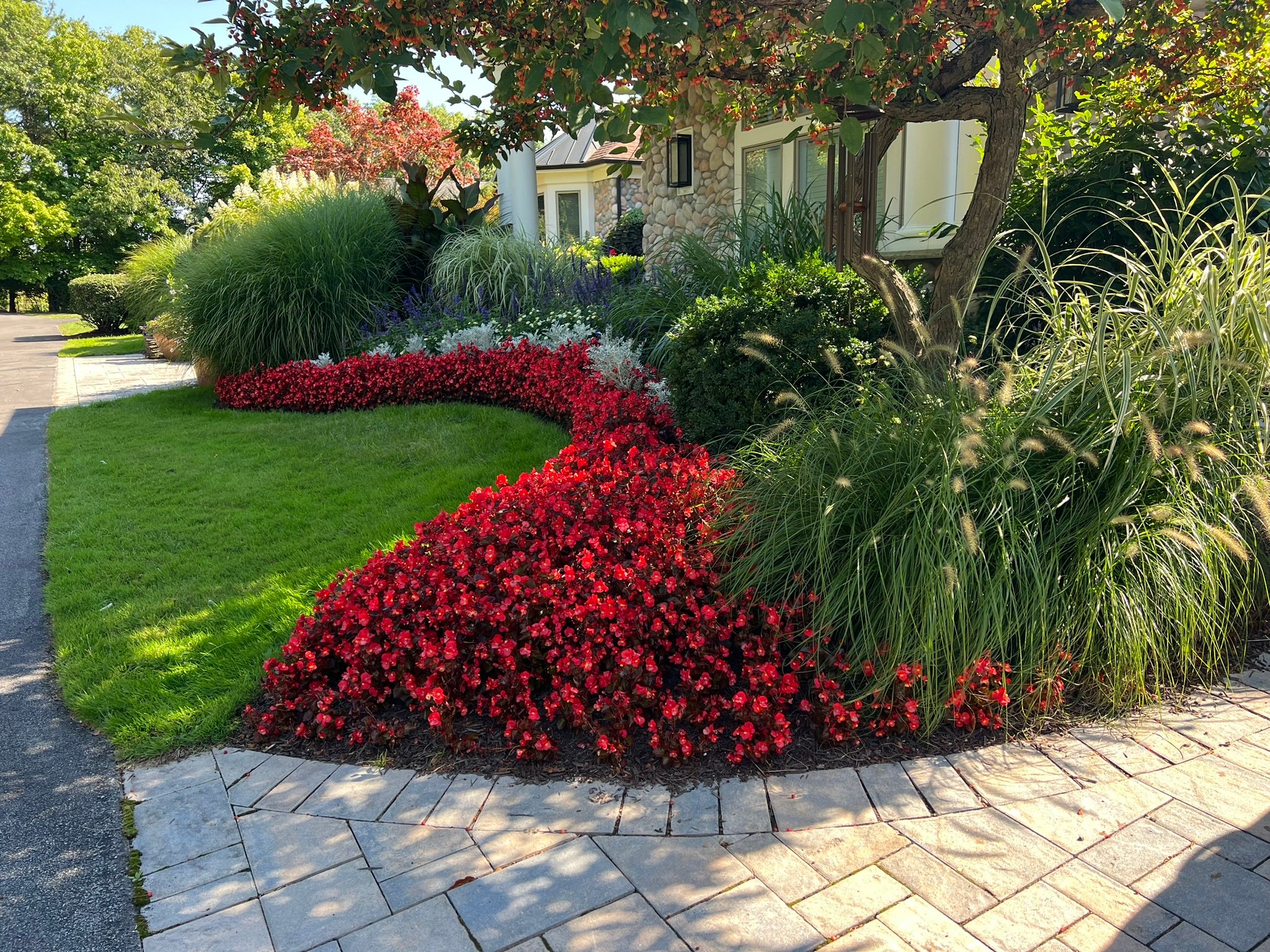 Avatar for Lily & Company Garden Designs