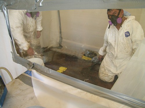 Environmental Hazard Remediation