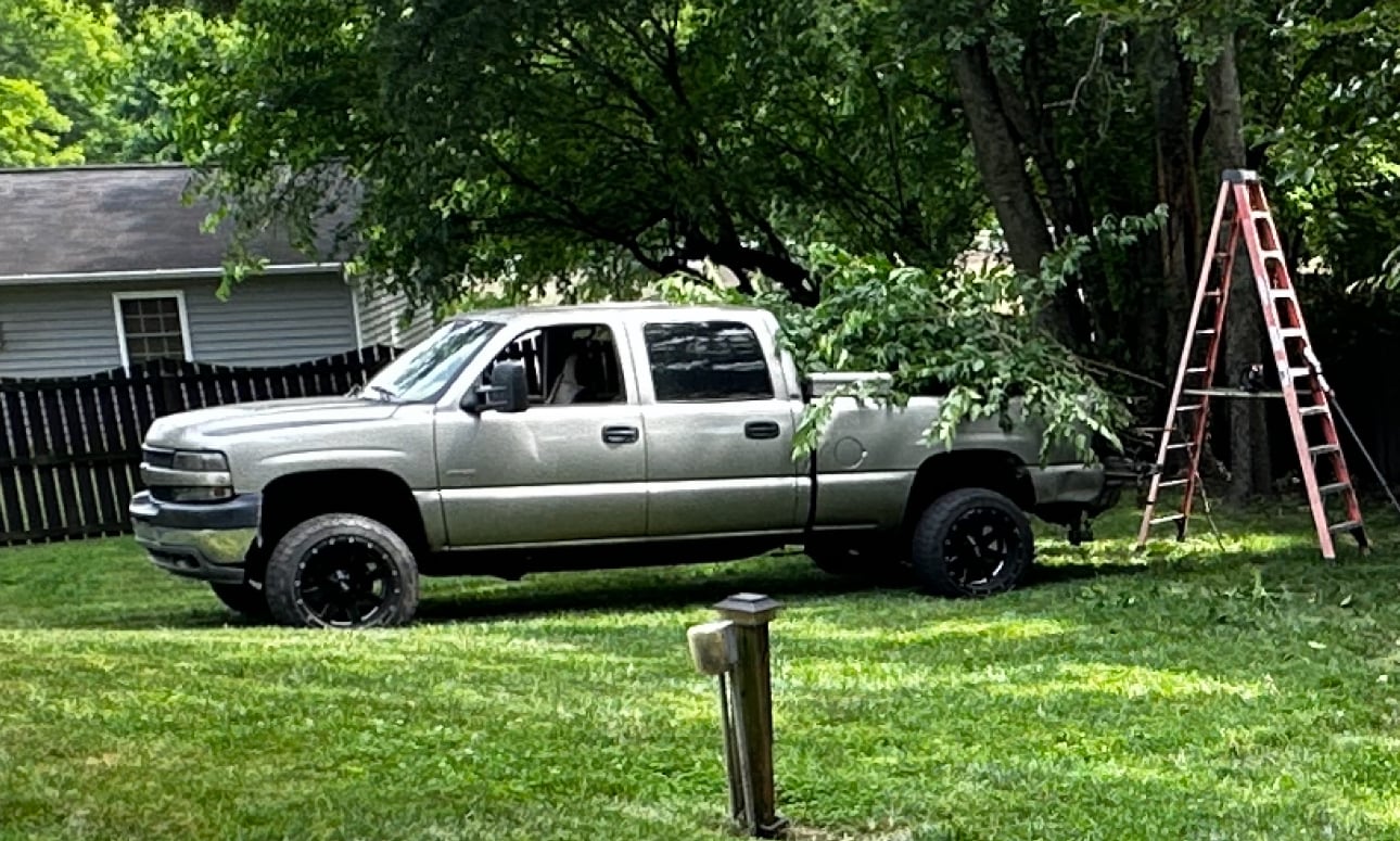 Avatar for M&M service