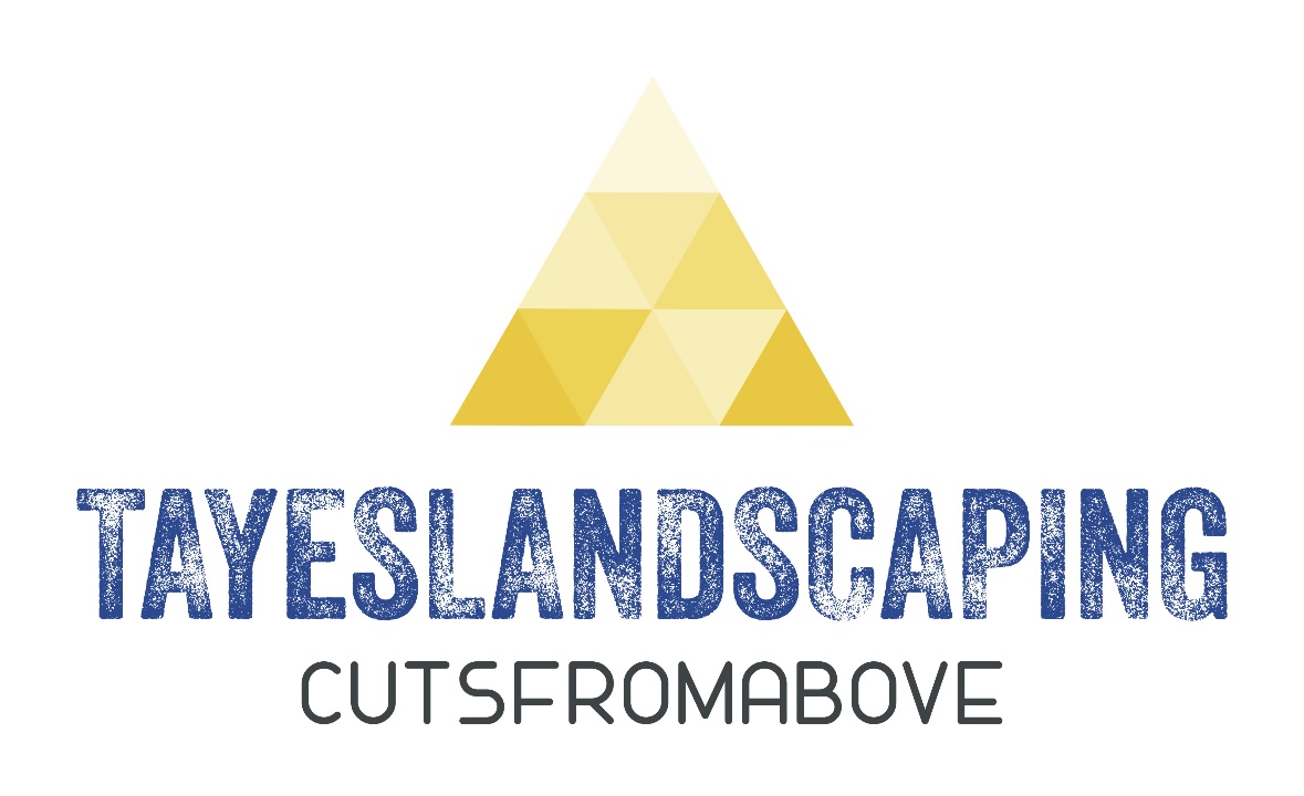Avatar for Tayeslandscaping 
