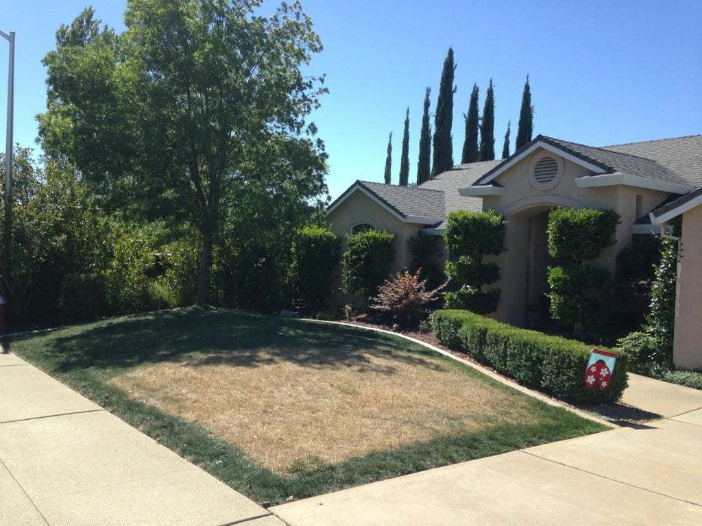 Avatar for INSTA-GREEN LAWN SERVICE