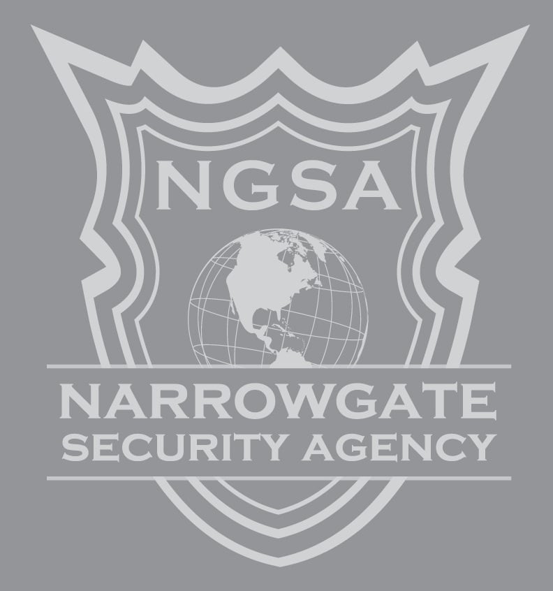 Avatar for NarrowGate Security Agency