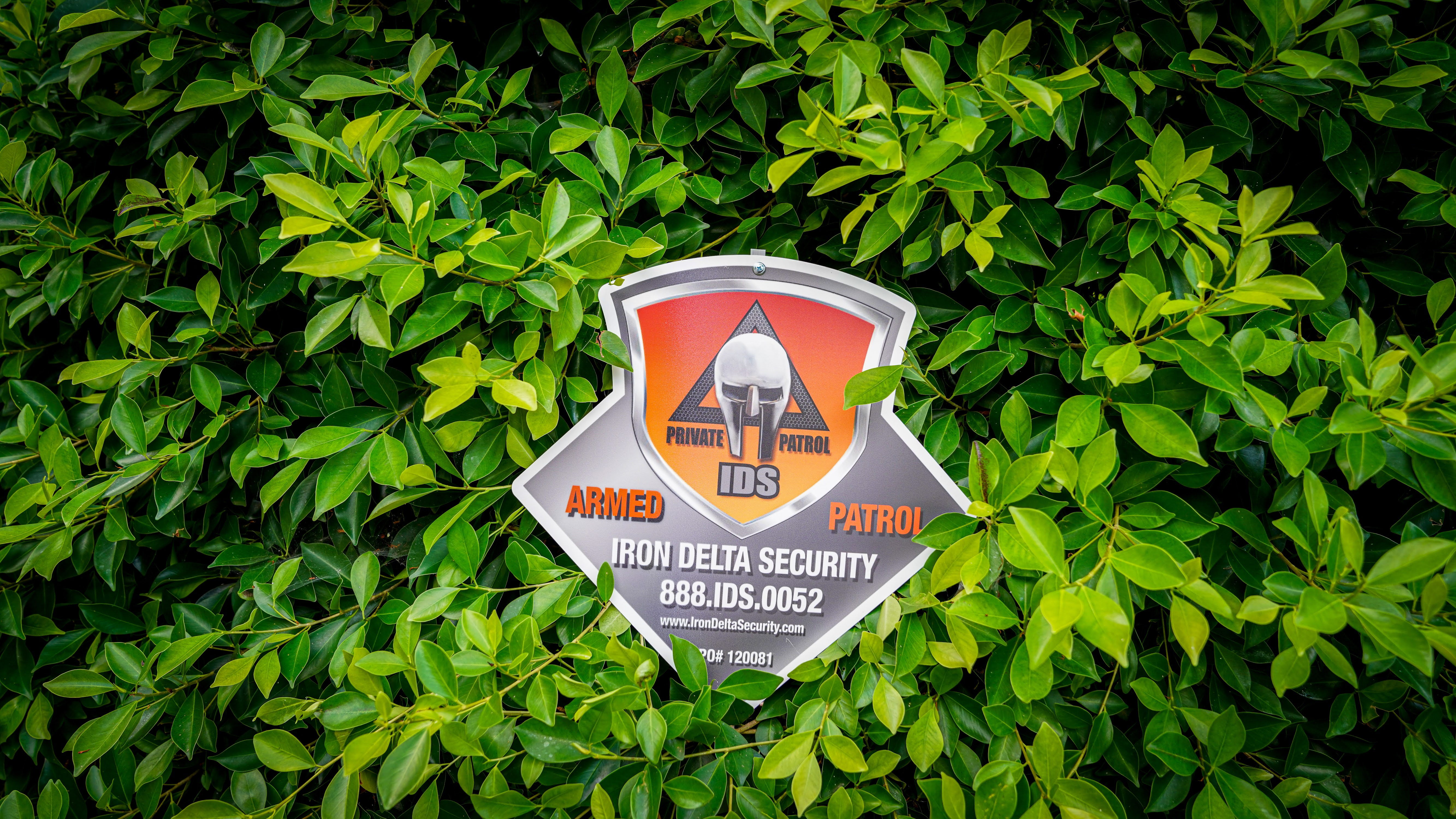 Avatar for Iron Delta Security