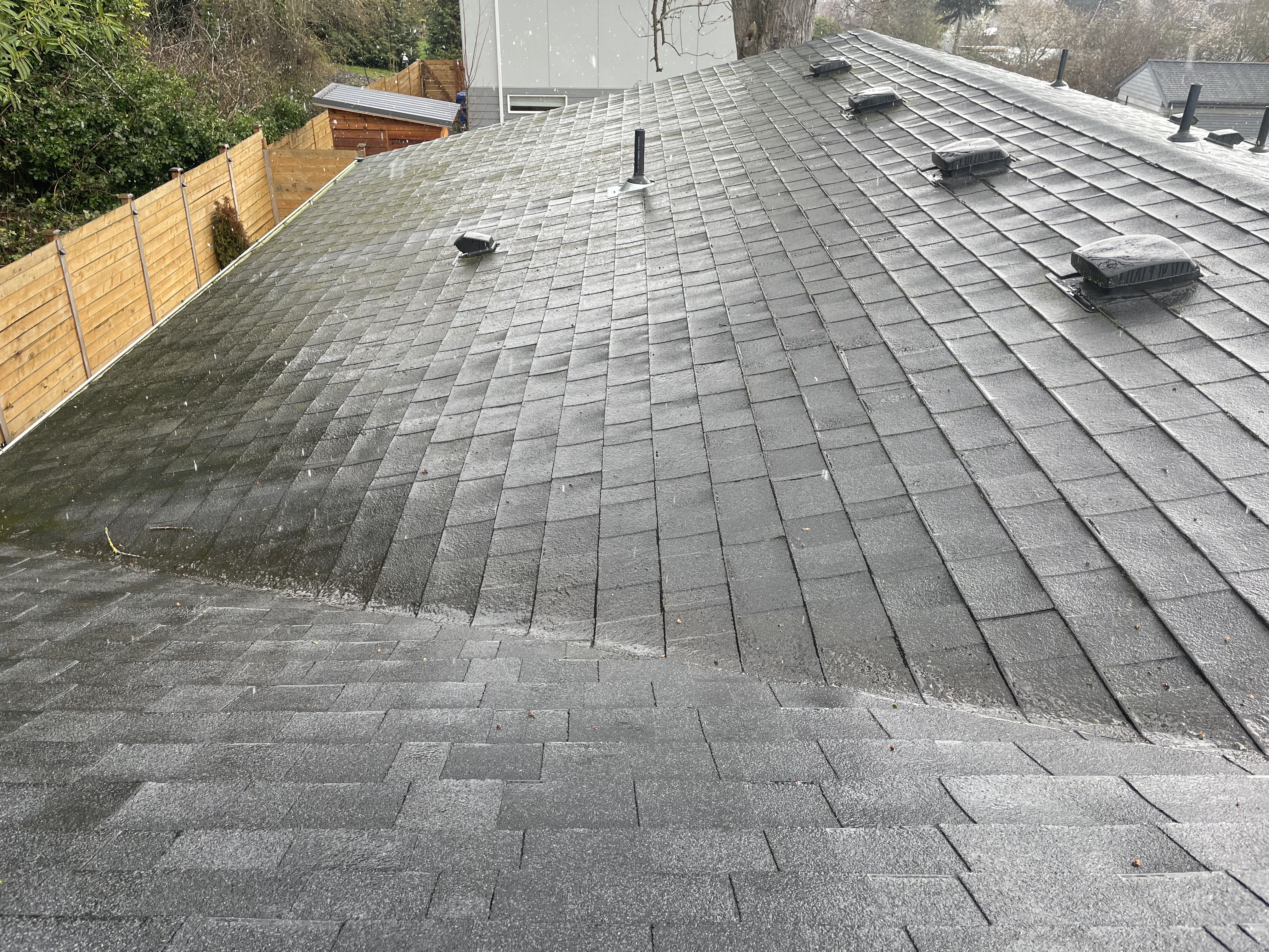 Avatar for Mataio moss removal