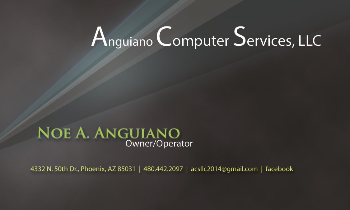 Anguiano Computer Services, LLC logo
