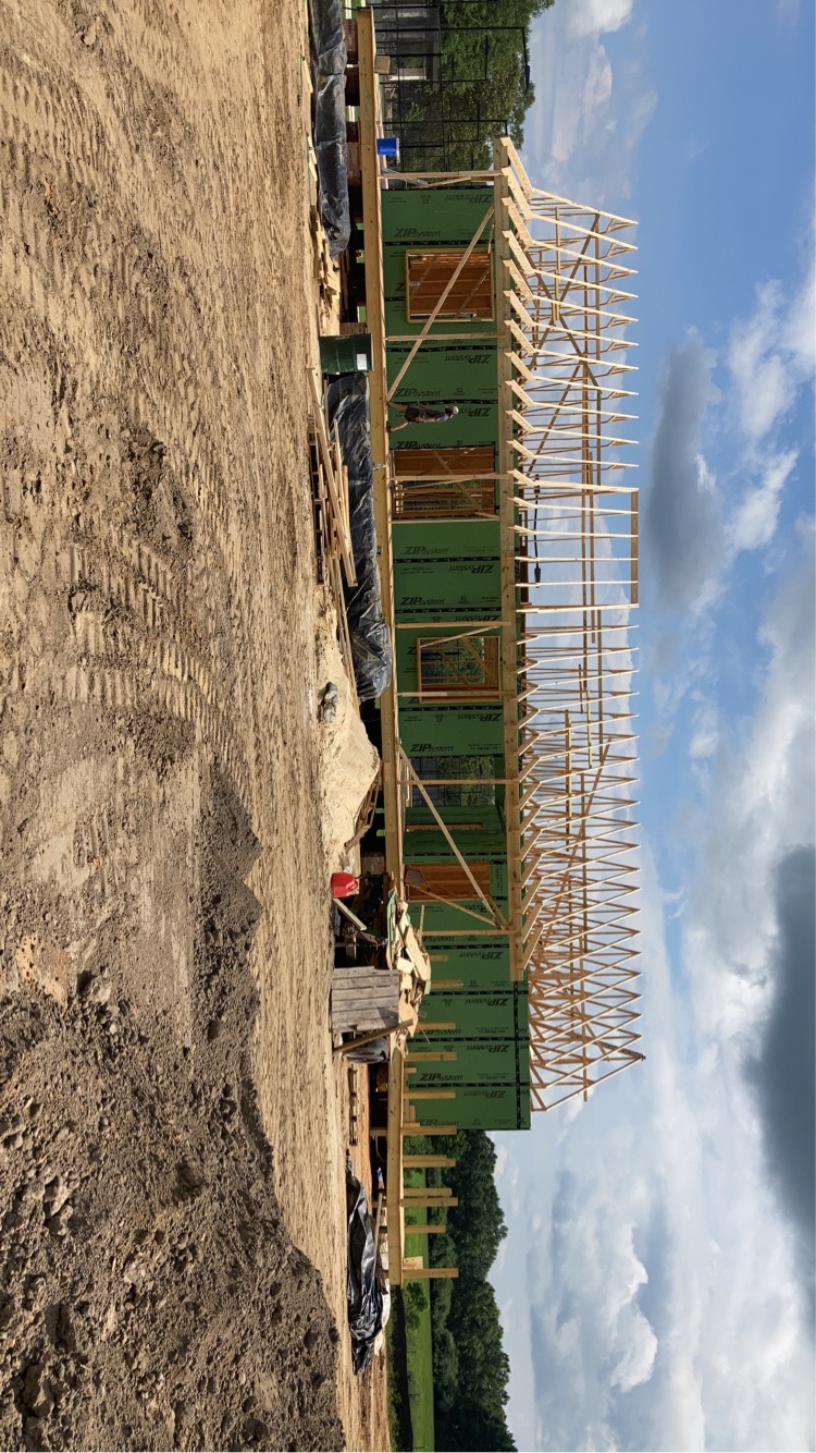 Avatar for Amitch Restorations 