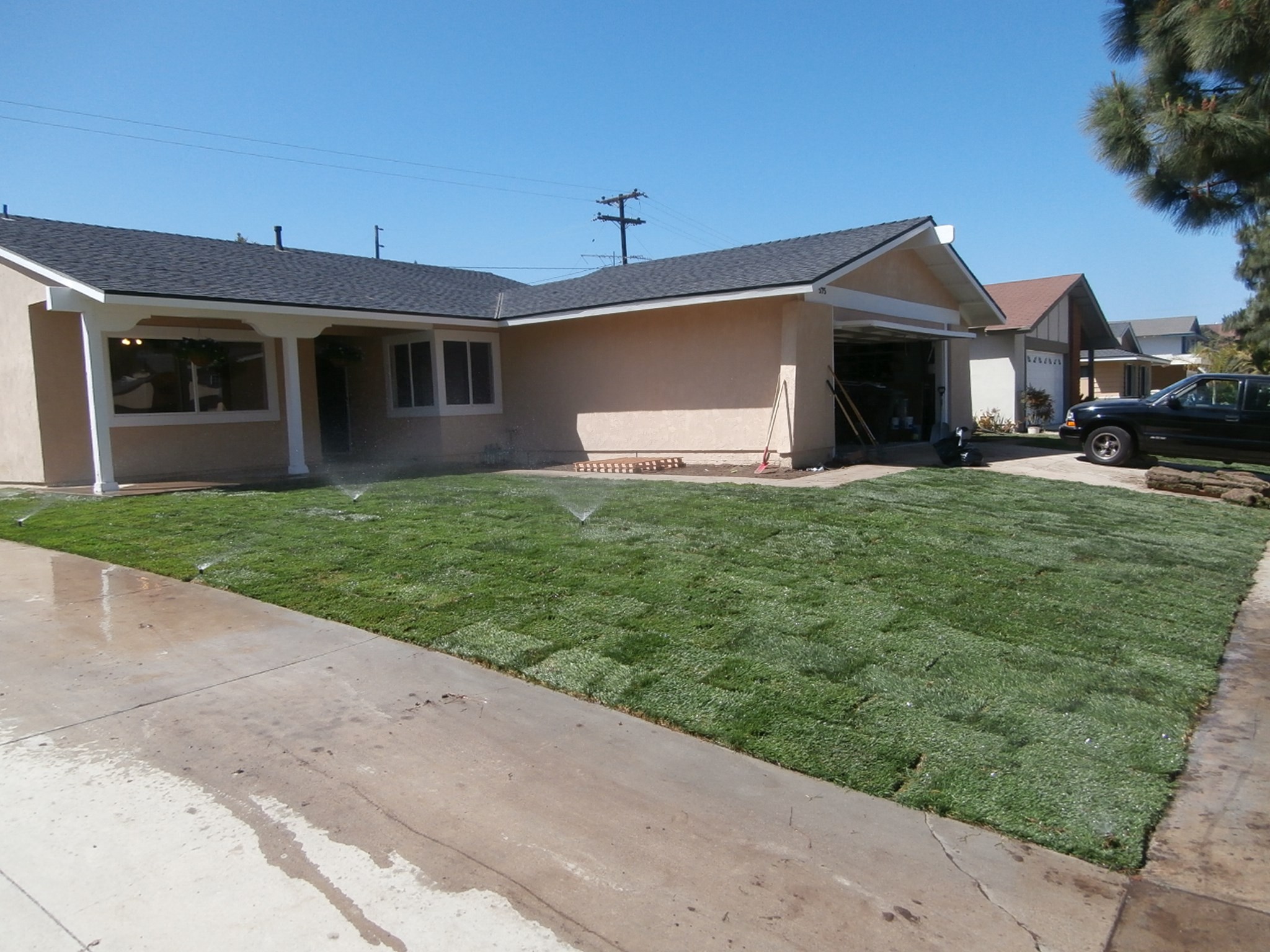 Avatar for Sprinkle Twinkle