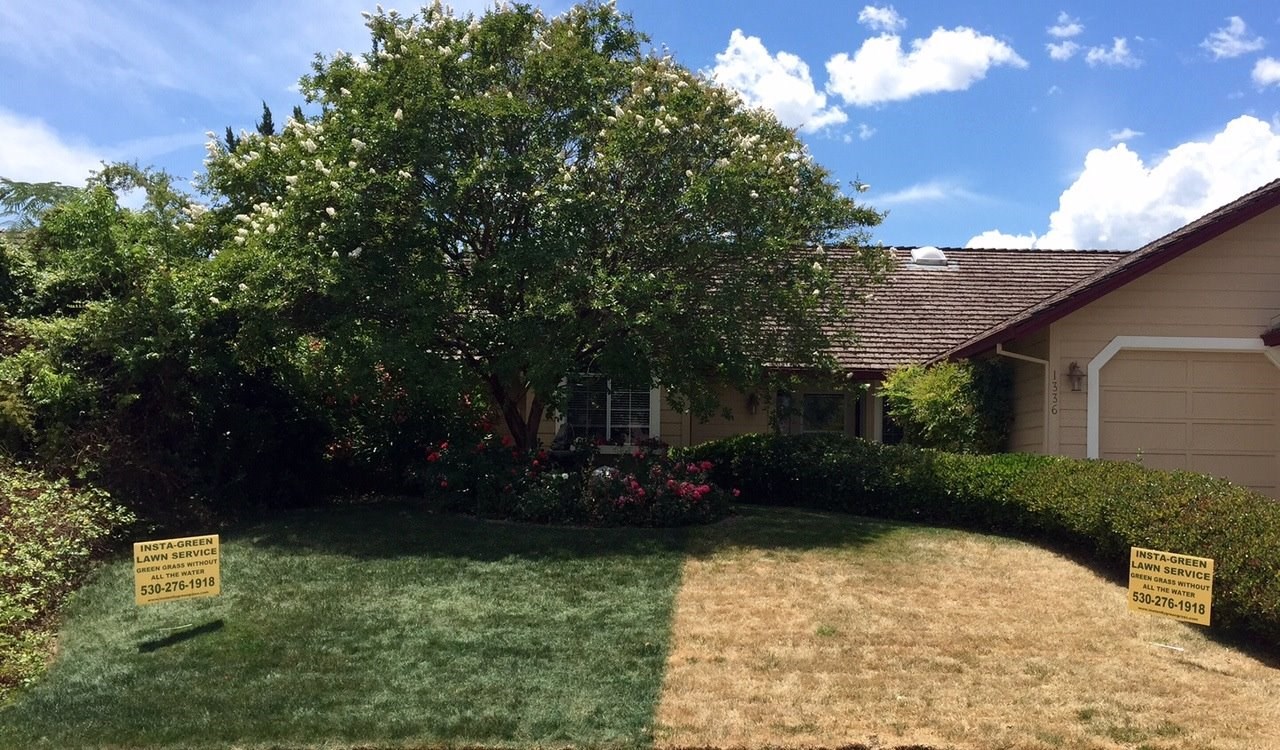 Avatar for INSTA-GREEN LAWN SERVICE