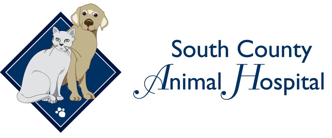 Logo for South County Animal Hospital