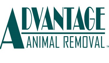 Logo for Advantage Animal Removal