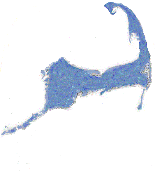 Avatar for J & J Home Services