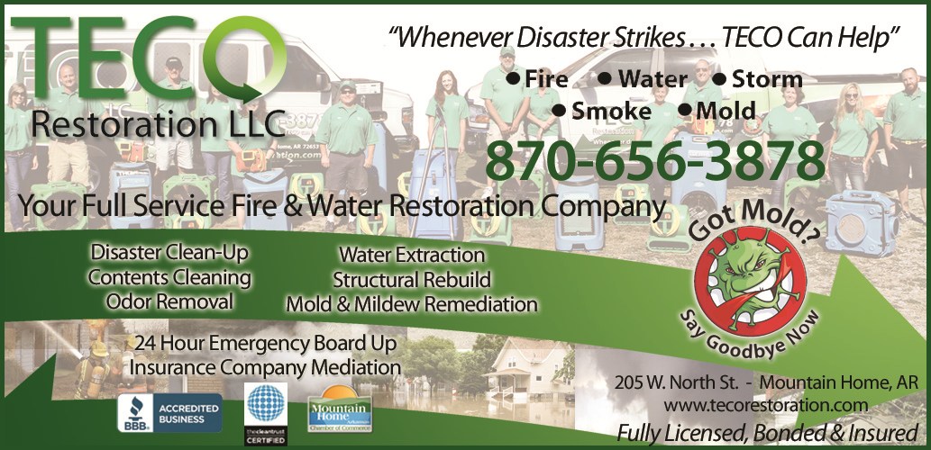 Logo for TECO Restoration LLC