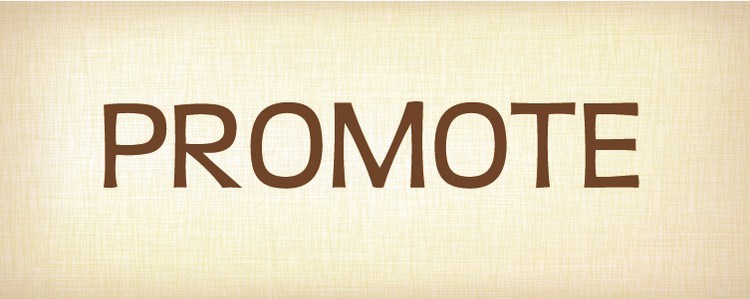 in the bag promotions