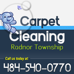 Avatar for Carpet Cleaning Radnor Twp