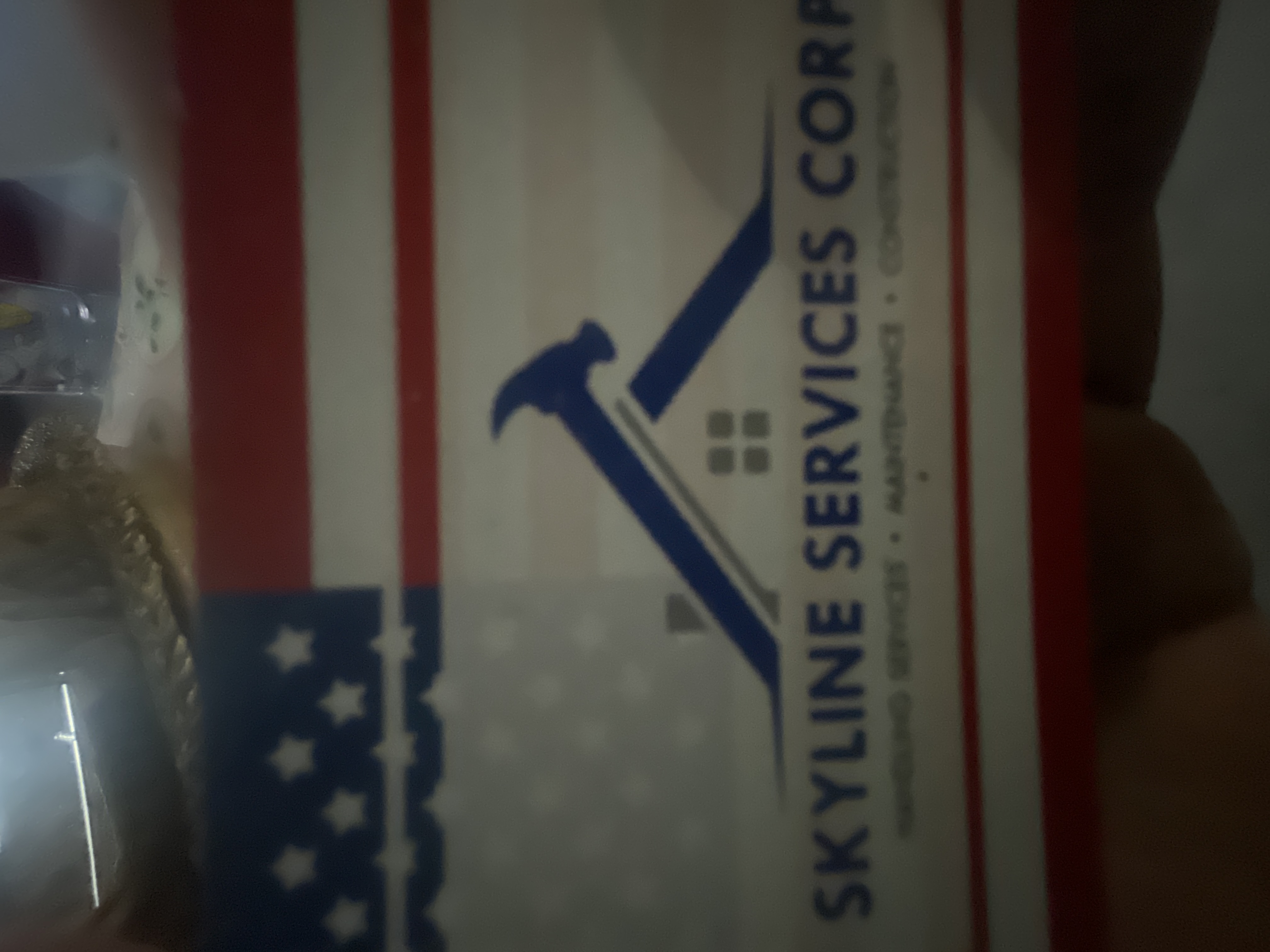 Avatar for Skyline services