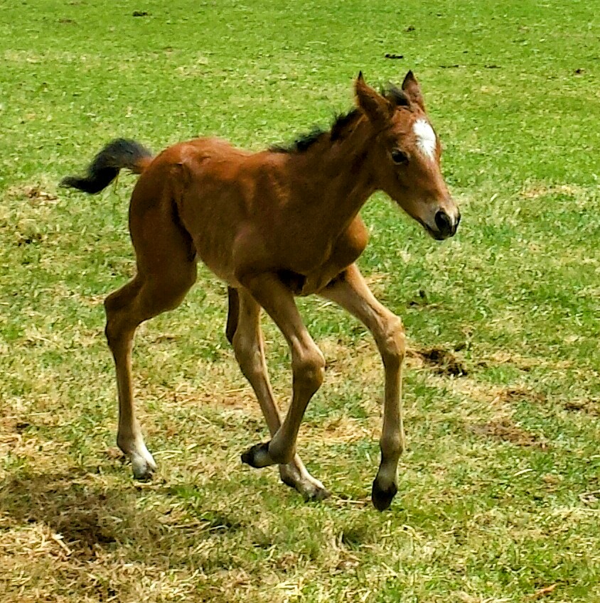 Avatar for Lexington Contracting LLC
