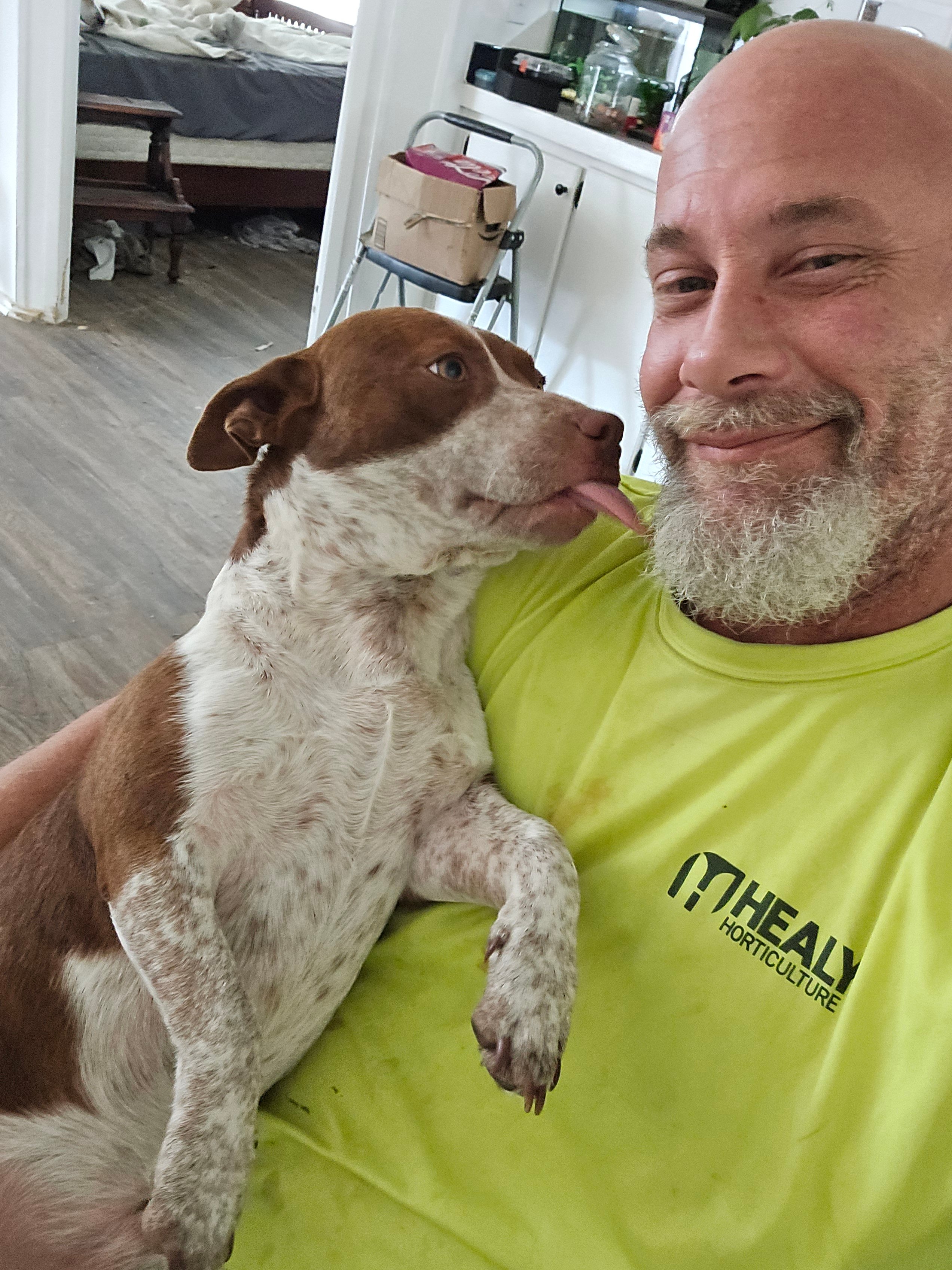 Avatar for J.H repairs