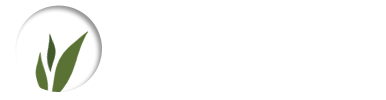 Avatar for NYC Grass