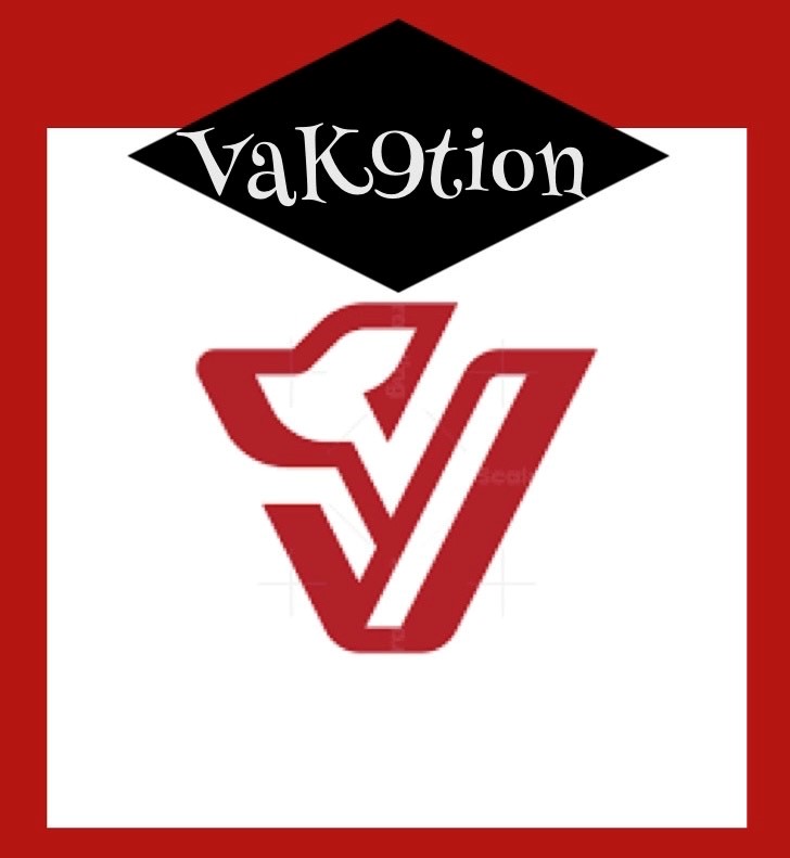 Avatar for VaK9tion