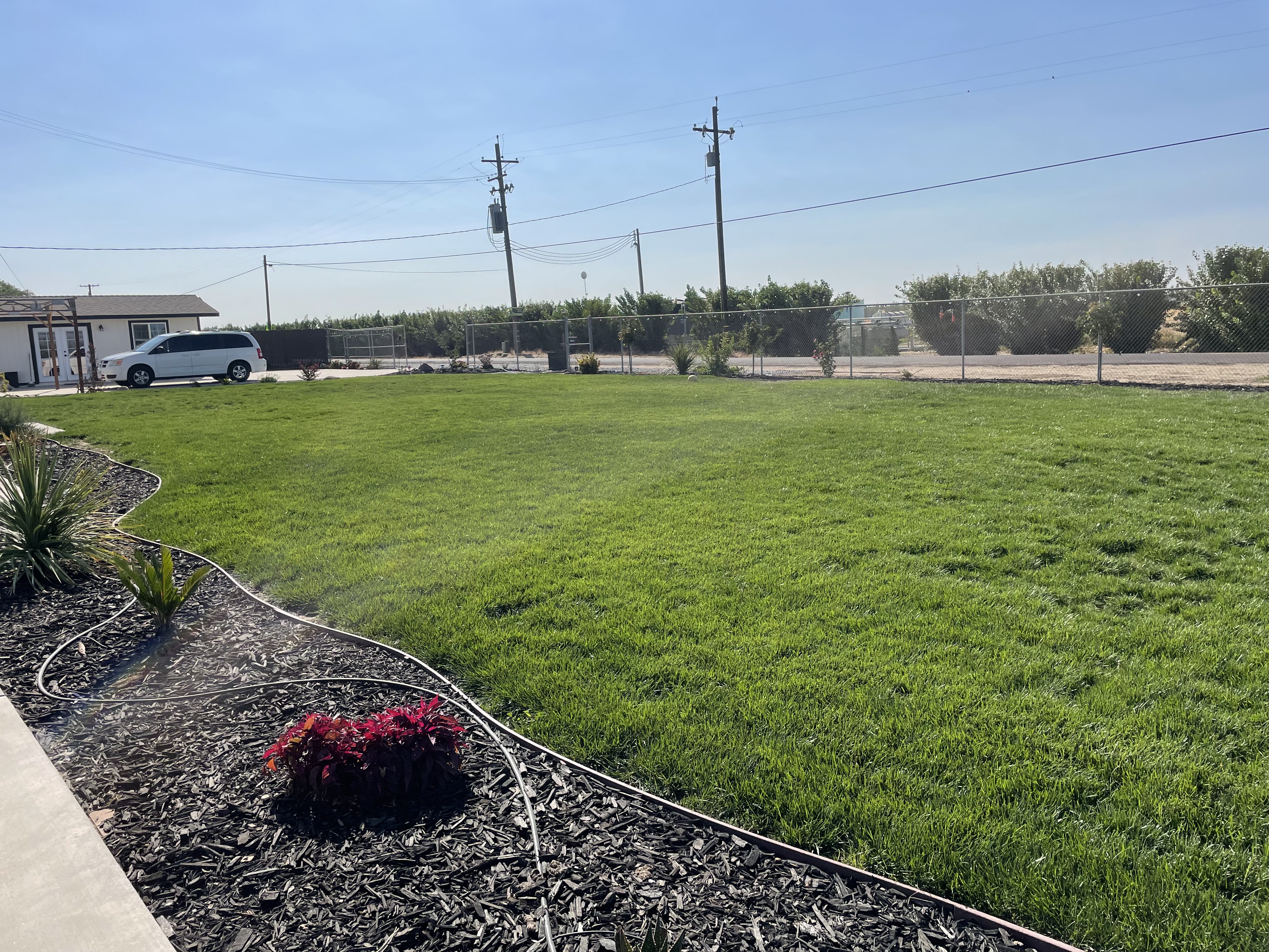 Avatar for Peters yard service