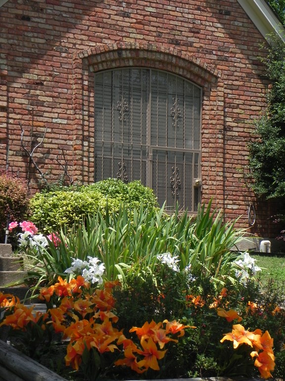 Window Bars
