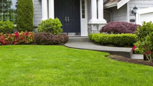 Dave & Son Lawn & Landscaping Service1