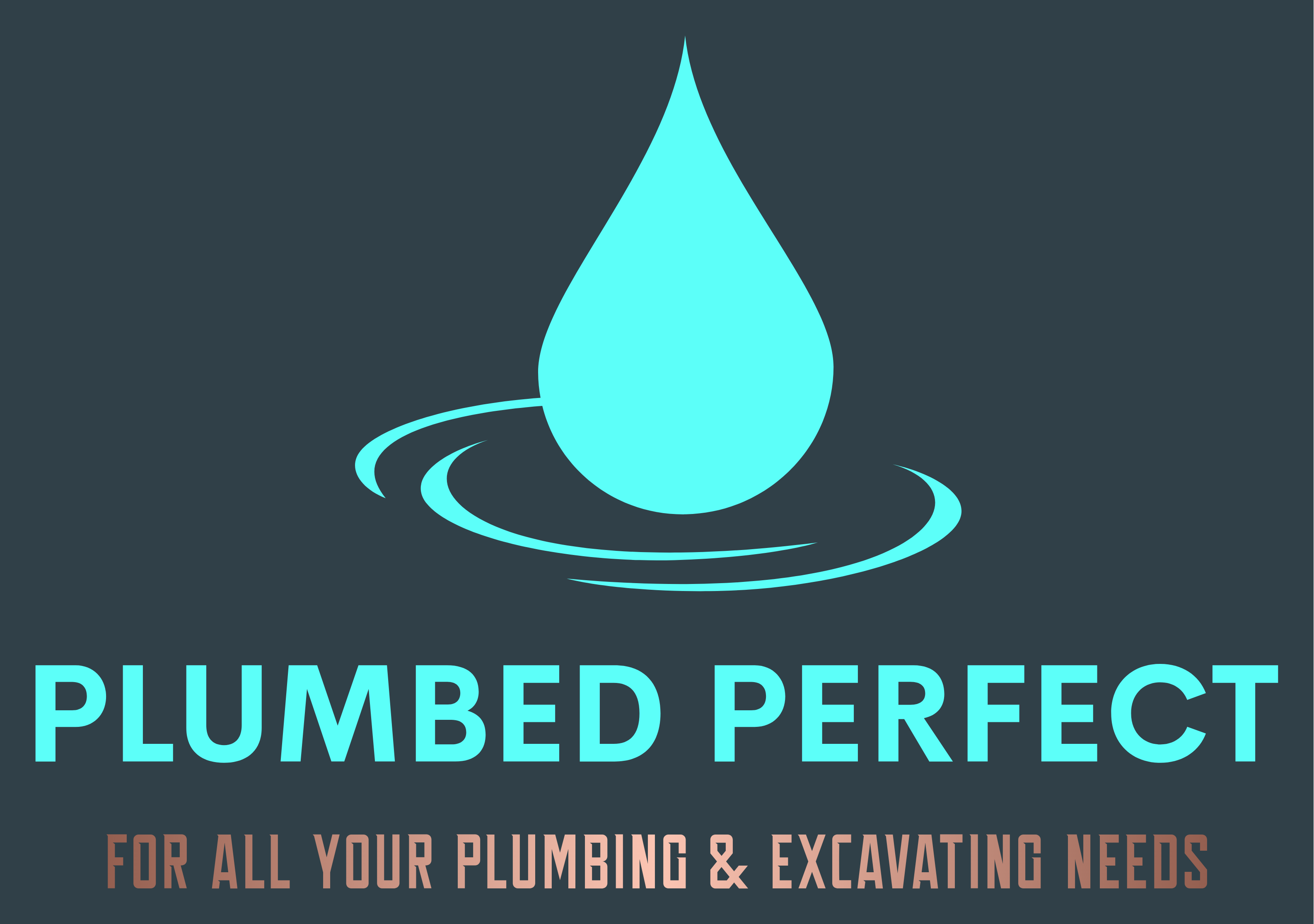Avatar for Plumbed Perfect