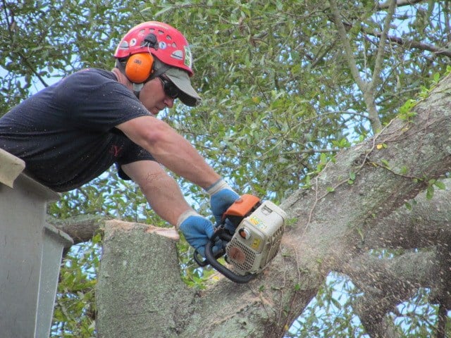 Avatar for Yutzy Tree Service