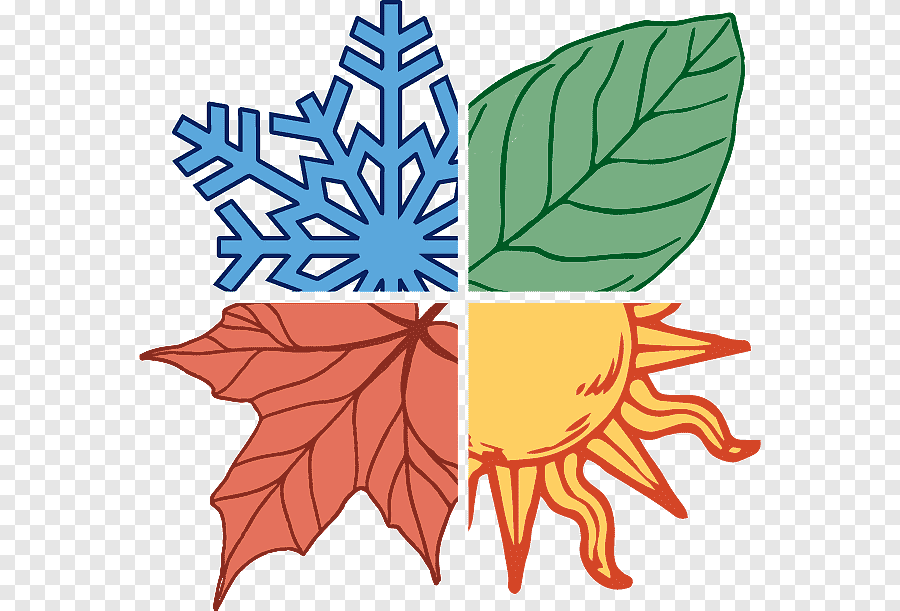 Avatar for All season cleaning services