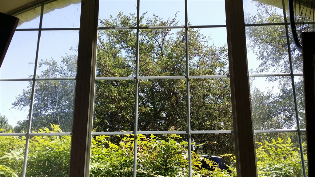 Window Cleaning