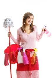 shelly's home service, LLC logo