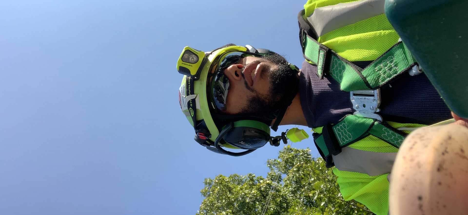 Avatar for Tree cuts