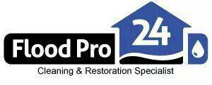 Logo for Flood Pro 24 Inc