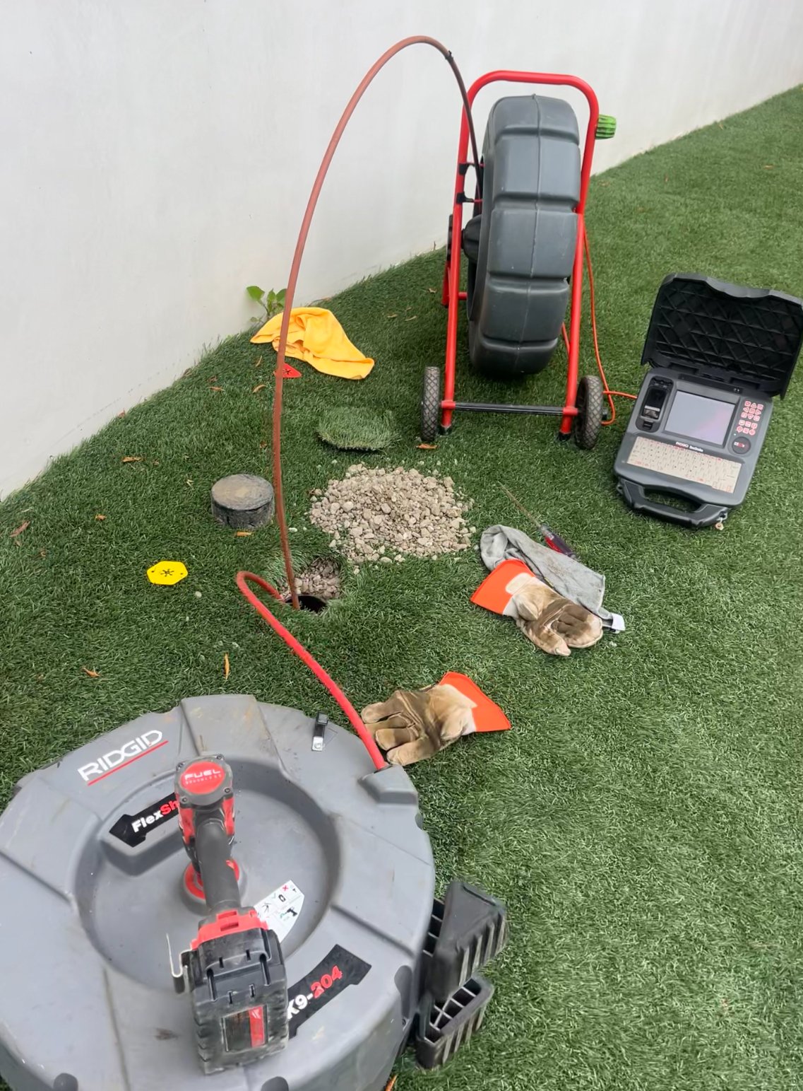 Avatar for Rafael Rooter 