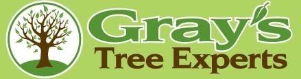 Avatar for Gray's Tree Experts