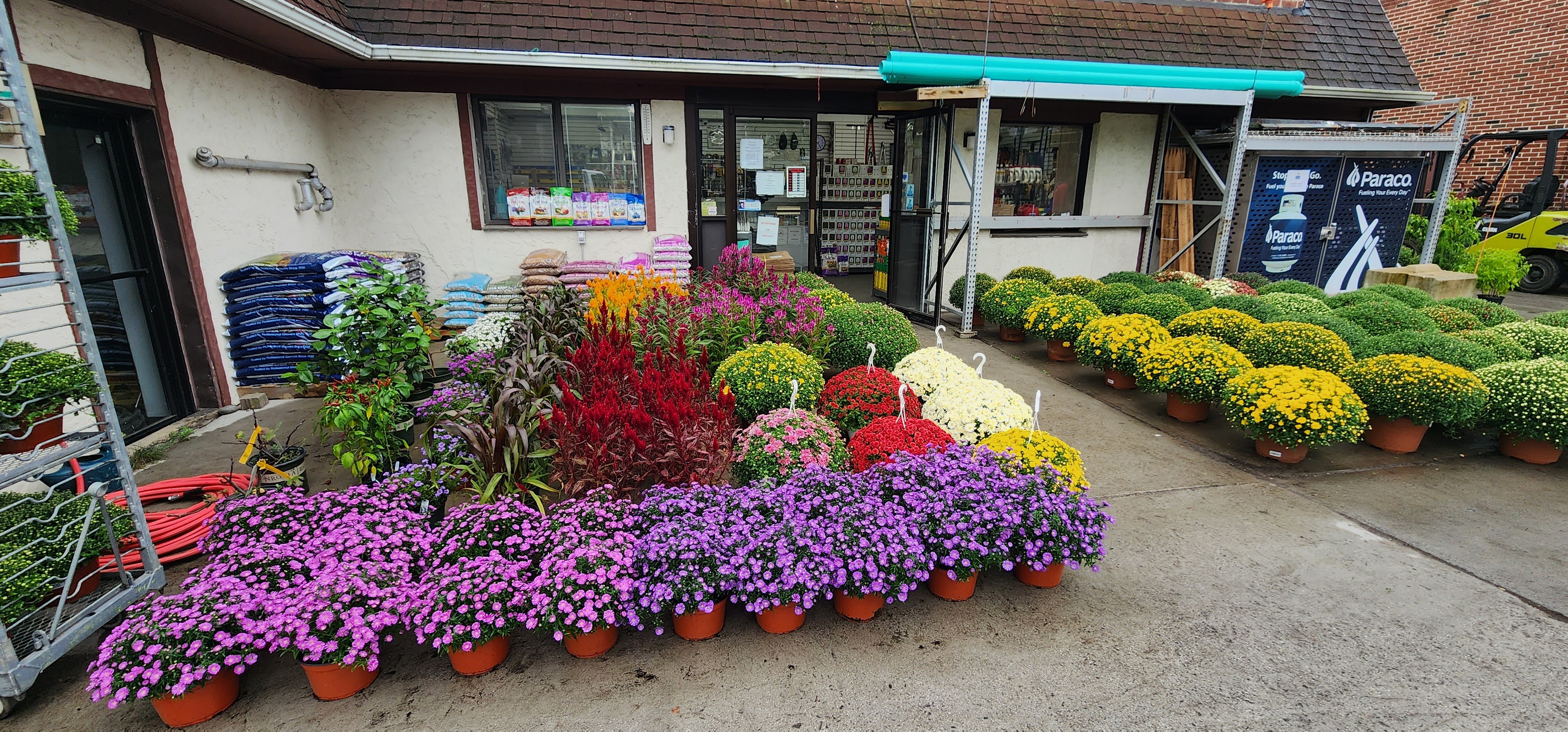 Avatar for Domenick Bulfamante & Sons Inc, Nursery