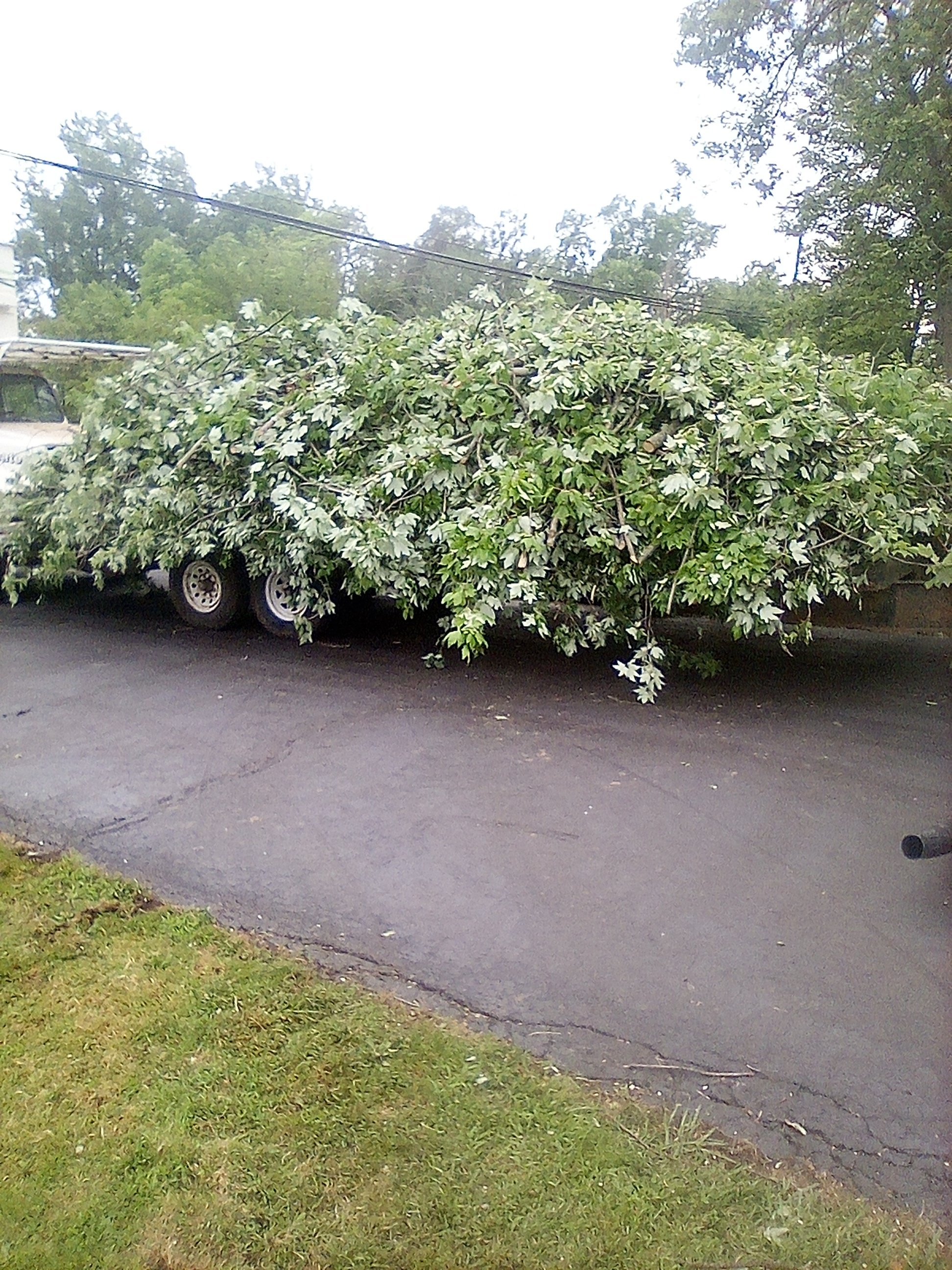 Avatar for Joseph tompos