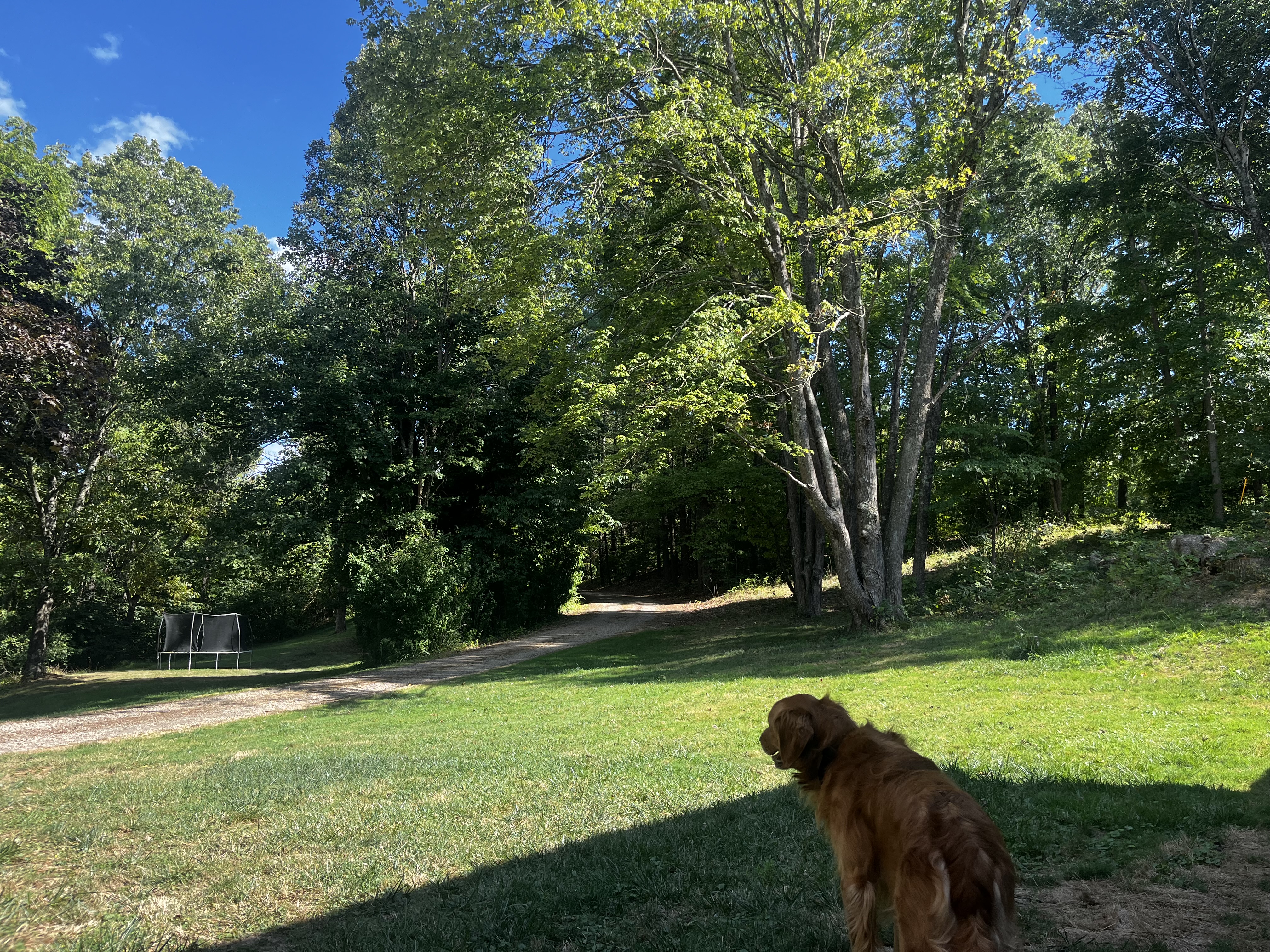 Avatar for Stewart & Sons