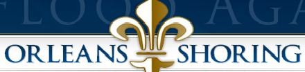 Avatar for Raising Homes New Orleans