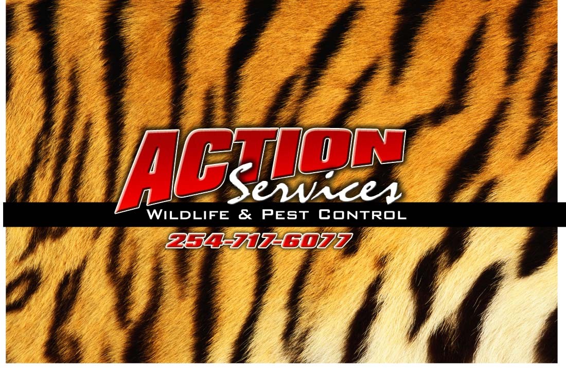 Avatar for Action Services Wildlife & Pest Control