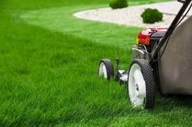 Incredible Lawn Care logo